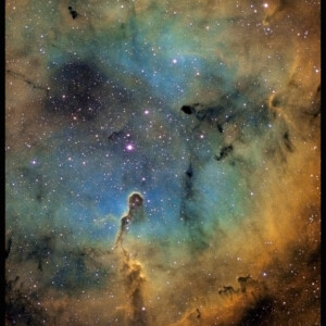 Снимка: Венцислав Бодаков