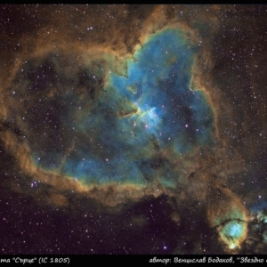 Снимка: Венцислав Бодаков