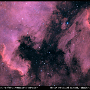 Снимка: Венцислав Бодаков