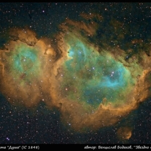 Снимка: Венцислав Бодаков