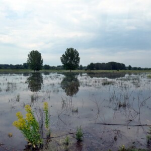 Концентрационен Лагер Белене