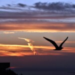 Снимка: Екатерина Желязкова Изгреви и залези