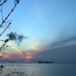 Снимка: Екатерина Желязкова