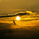 Снимка: Екатерина Желязкова