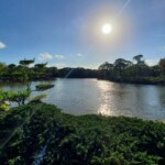 Японски градини Мориками, Флорида, САЩ