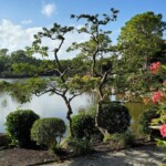 Японска градина