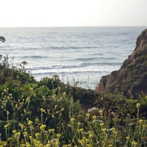 Montara Beach, USA, California