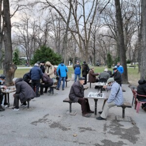 Пловдив шах