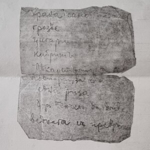 Списък с вещите, които Владимир А. е поискал да му бъдат занесени в ареста