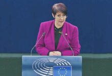 Кристин Андерсон X цензура