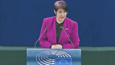 Кристин Андерсон X цензура