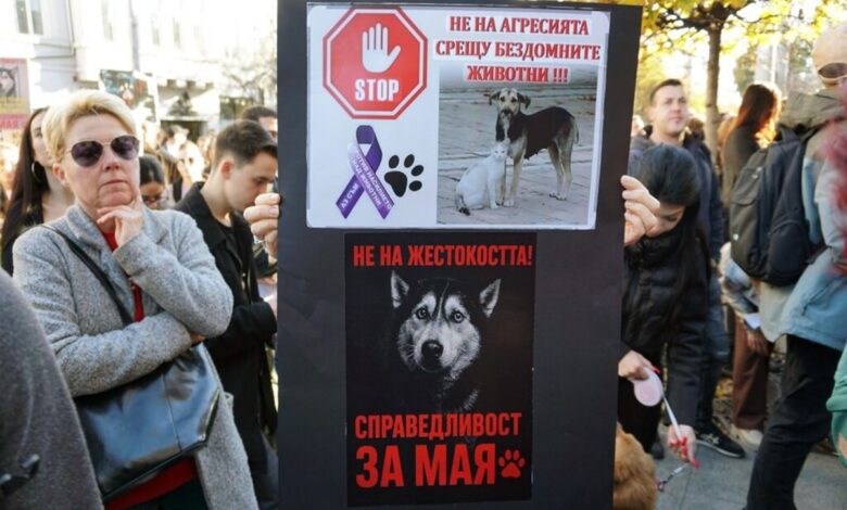 куче Мая жестокост животни