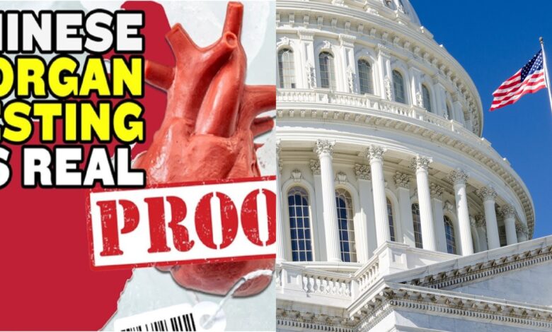 organ harvesting china new